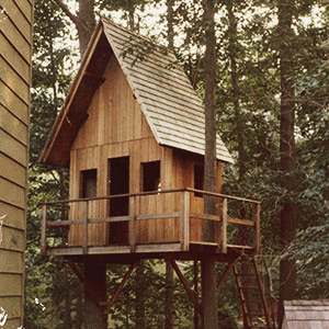 Mike's Tree House